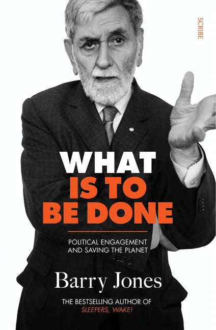 What Is to Be Done: Political Engagement and Saving the Planet - Paperback