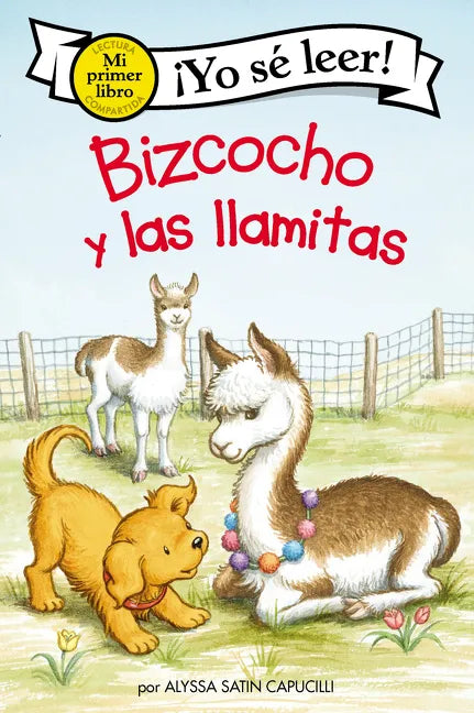 Bizcocho Y Las Llamitas: Biscuit and the Little Llamas (Spanish Edition) - Hardcover