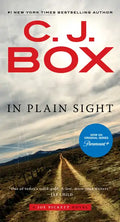 In Plain Sight - Paperback