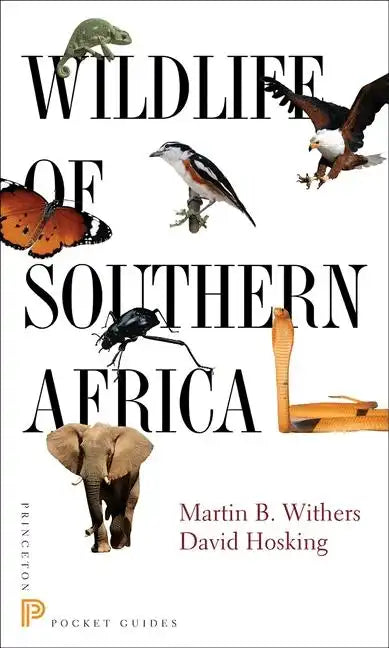 Wildlife of Southern Africa - Paperback