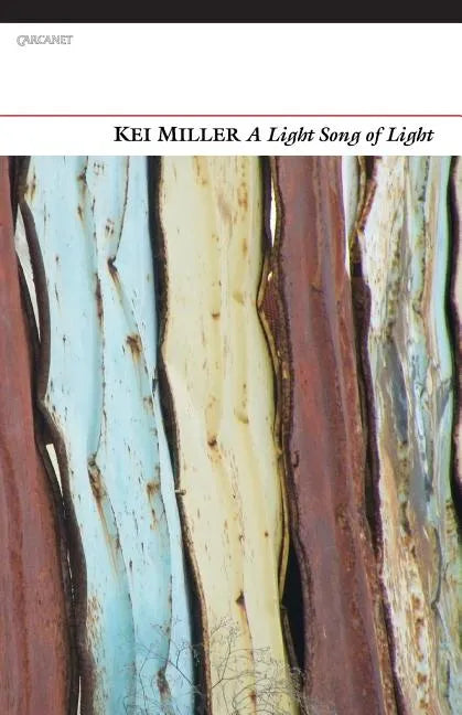 A Light Song of Light - Paperback