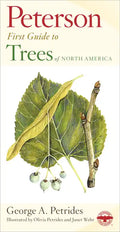 Peterson First Guide to Trees - Paperback