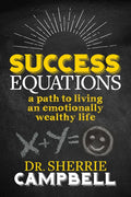 Success Equations: A Path to Living an Emotionally Wealthy Life - Paperback