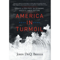 America in Turmoil: Essays on Politics, the Economy, Society, and the Future - Hardcover