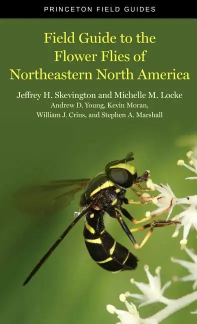 Field Guide to the Flower Flies of Northeastern North America - Paperback