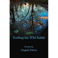 Feeding the Wild Rabbit - Paperback