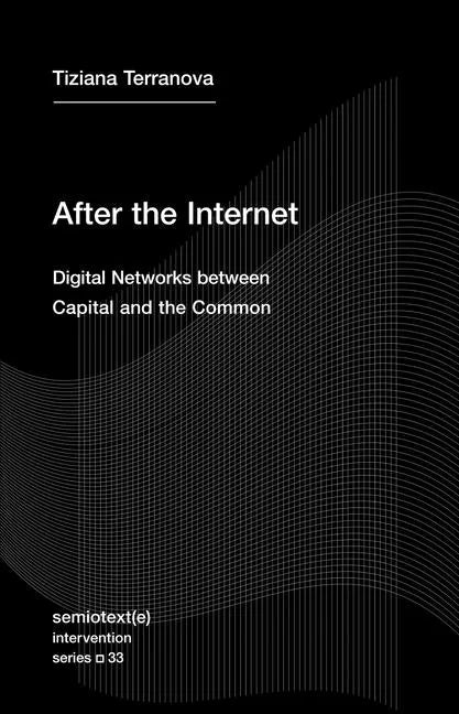 After the Internet: Digital Networks Between Capital and the Common - Paperback