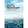 What Is Orientation?: A Philosophical Investigation - Paperback