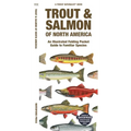 Trout & Salmon of North America: An Illustrated Folding Pocket Guide to Familiar Species - Paperback