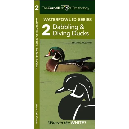 Waterfowl Id Series: 2 Dabbling & Diving Ducks - Paperback