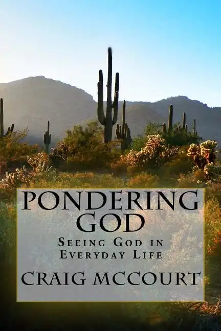 Pondering God: Seeing God in Everyday Life - Paperback