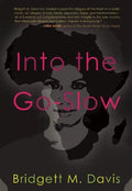 Into the Go-Slow - Paperback