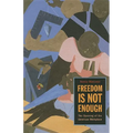 Freedom Is Not Enough: The Opening of the American Workplace - Paperback