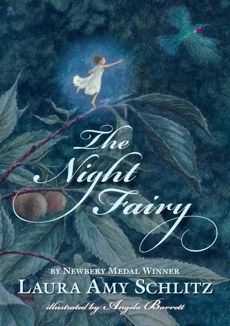 The Night Fairy - Paperback