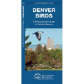 Denver Birds: A Folding Pocket Guide to Familiar Species