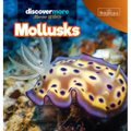 Mollusks - Paperback
