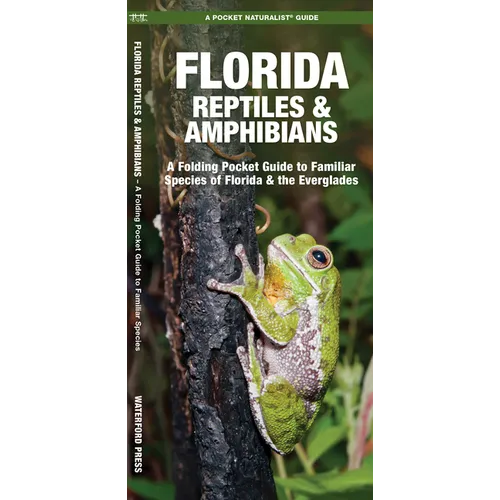 Florida Reptiles & Amphibians: A Folding Pocket Guide to Familiar Species of Florida & the Everglades - Paperback