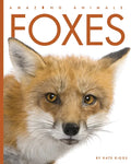 Foxes - Paperback