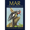 Mar: A Glimpse Into the Natural Life of a Bird - Paperback