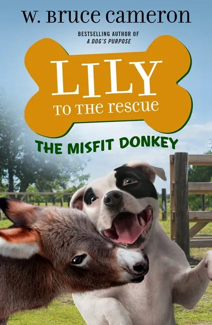 Lily to the Rescue: The Misfit Donkey - Paperback