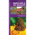 Maryland & DC Wildlife: A Folding Pocket Guide to Familiar Animals - Loose Leaf