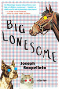 Big Lonesome - Paperback