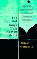 The Beautiful Things That Heaven Bears - Paperback