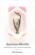 American Afterlife: Encounters in the Customs of Mourning - Paperback