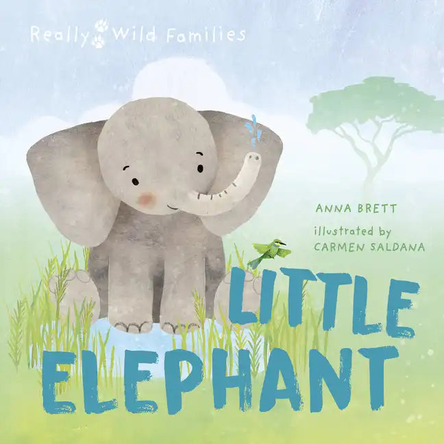 Little Elephant: A Day in the Life of a Elephant Calf - Hardcover