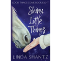 Shiny Little Things - Paperback