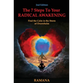 The 7 Steps to Your Radical Awakening: Find the Calm in the Storm of Overwhelm - Paperback