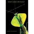 What Good Are Bugs?: Insects in the Web of Life - Paperback