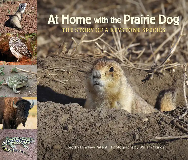 At Home with the Prairie Dog: The Story of a Keystone Species - Hardcover