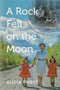 A Rock Fell on the Moon: Dad and the Great Yukon Silver Ore Heist - Paperback