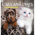 Cats and Dogs, A No Text Picture Book: A Calming Gift for Alzheimer Patients and Senior Citizens Living With Dementia - Hardcover