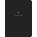 ESV Scripture Journal: Joshua (Paperback) - Paperback