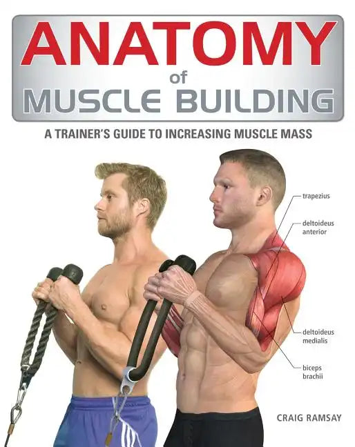 Anatomy of Muscle Building: A Trainer's Guide to Increasing Muscle Mass - Paperback