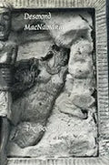 Book of Intrusions - Hardcover
