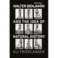 Walter Benjamin and the Idea of Natural History - Paperback
