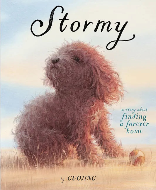 Stormy: A Story about Finding a Forever Home - Hardcover