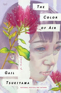 The Color of Air - Hardcover