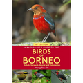 A Naturalist's Guide to the Birds of Borneo - Paperback