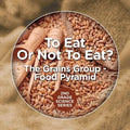 To Eat Or Not To Eat? The Grains Group - Food Pyramid: 2nd Grade Science Series - Paperback
