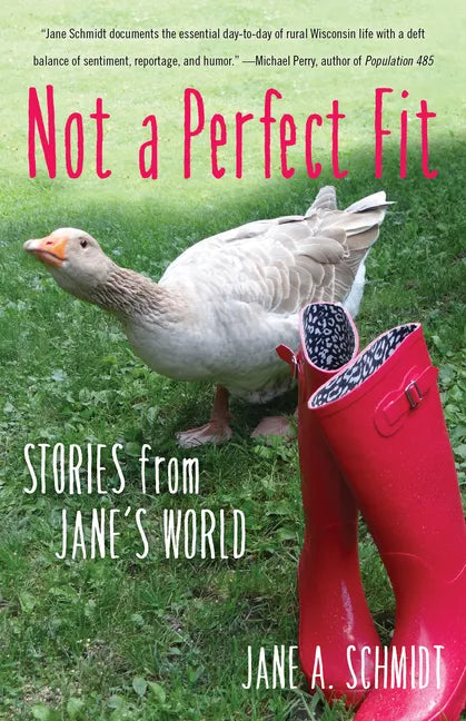 Not a Perfect Fit: Stories from Jane's World - Paperback