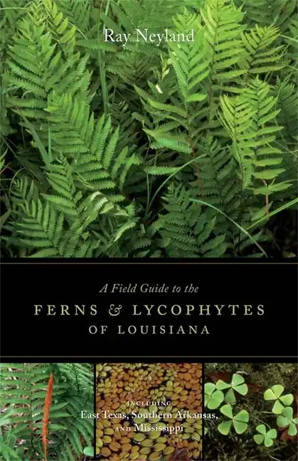 A Field Guide to the Ferns and Lycophytes of Louisiana - Paperback