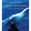 Shimmer of Something: Lean Stories of Spiritual Substance - Paperback