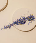 blue cornflower petals