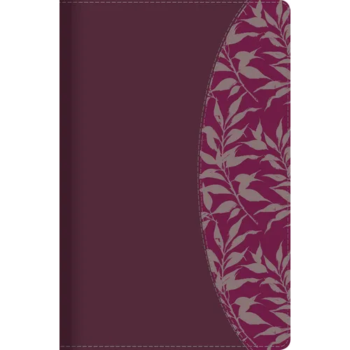 Rvr 1960 Biblia de Estudio Para Mujeres, Vino Tinto/Fucsia S匇il Piel Con ﾍndice - Imitation Leather