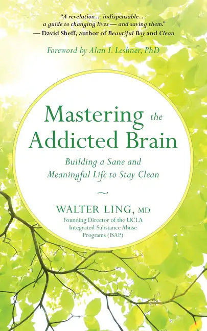 Mastering the Addicted Brain: Building a Sane and Meaningful Life to Stay Clean - Paperback