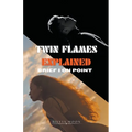 Twin Flames Explained - Paperback